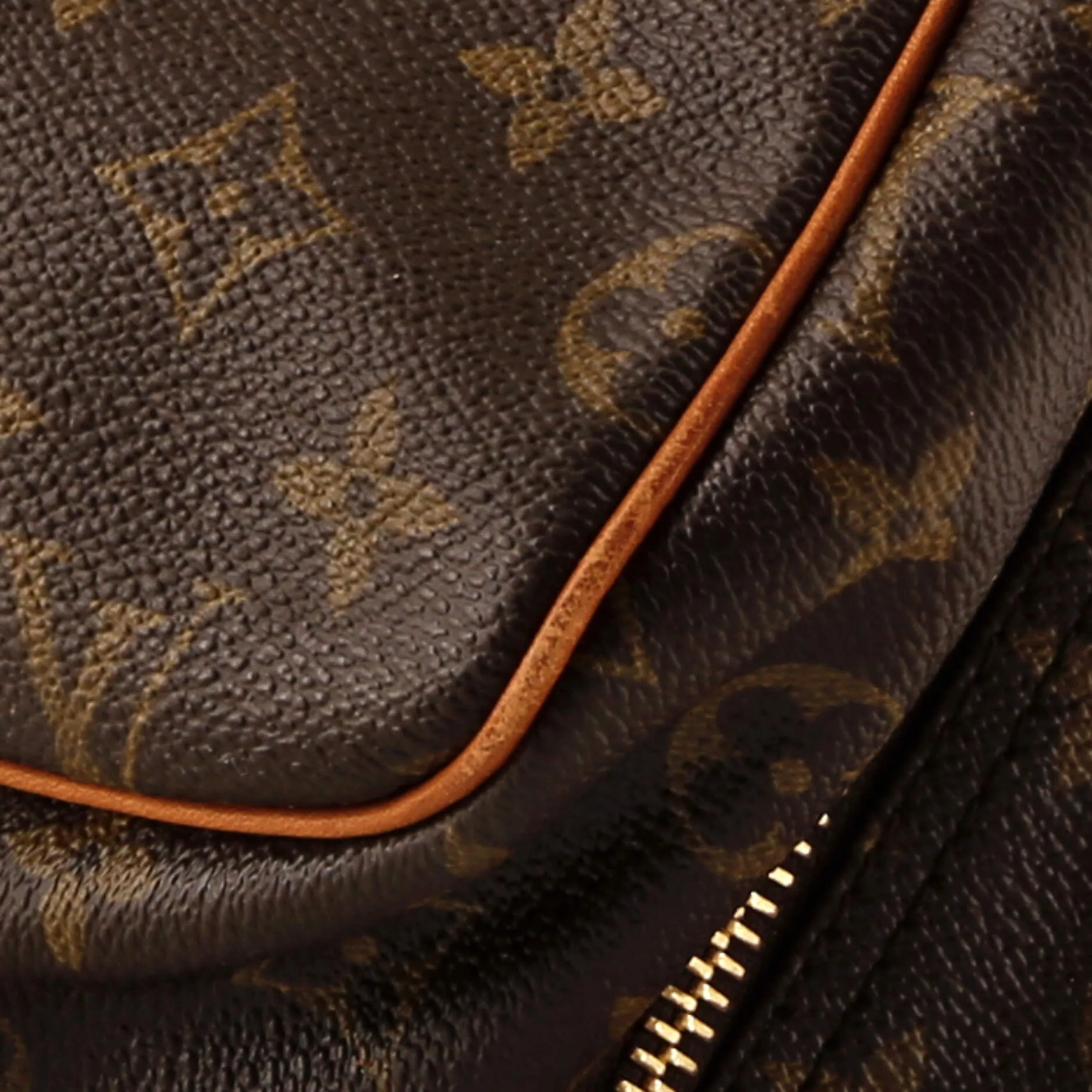 Alize Bag Monogram Canvas 1 Poche