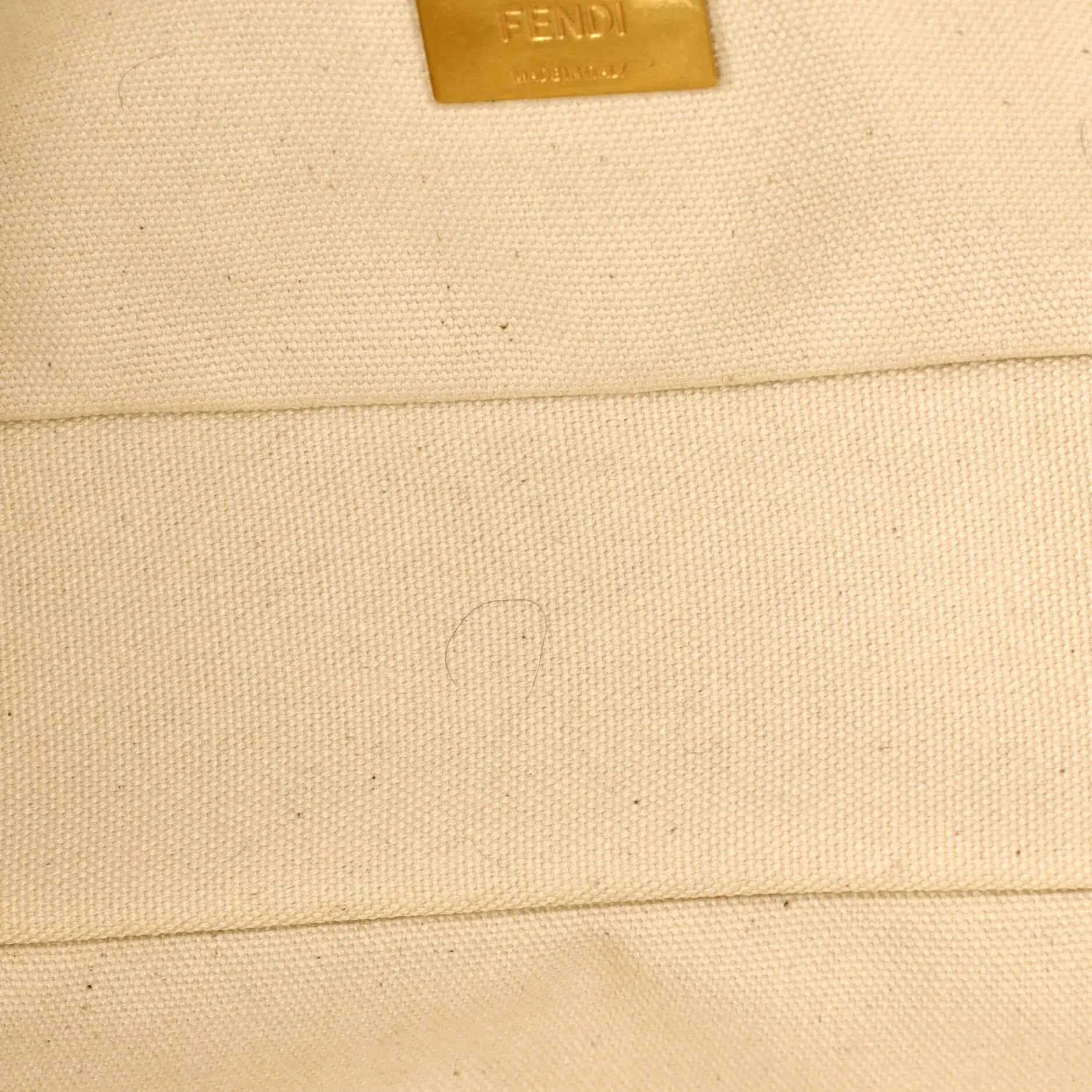 Baguette NM Bag Fish-Eye FF Embroidered Canvas Medium