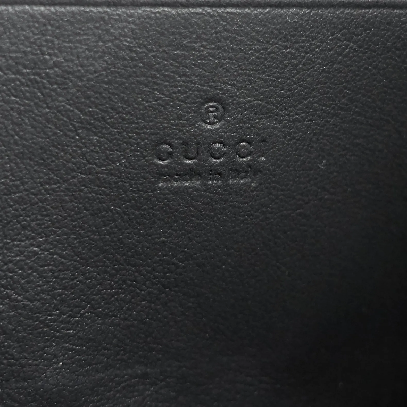 Dionysus Chain Mini Suede Bag