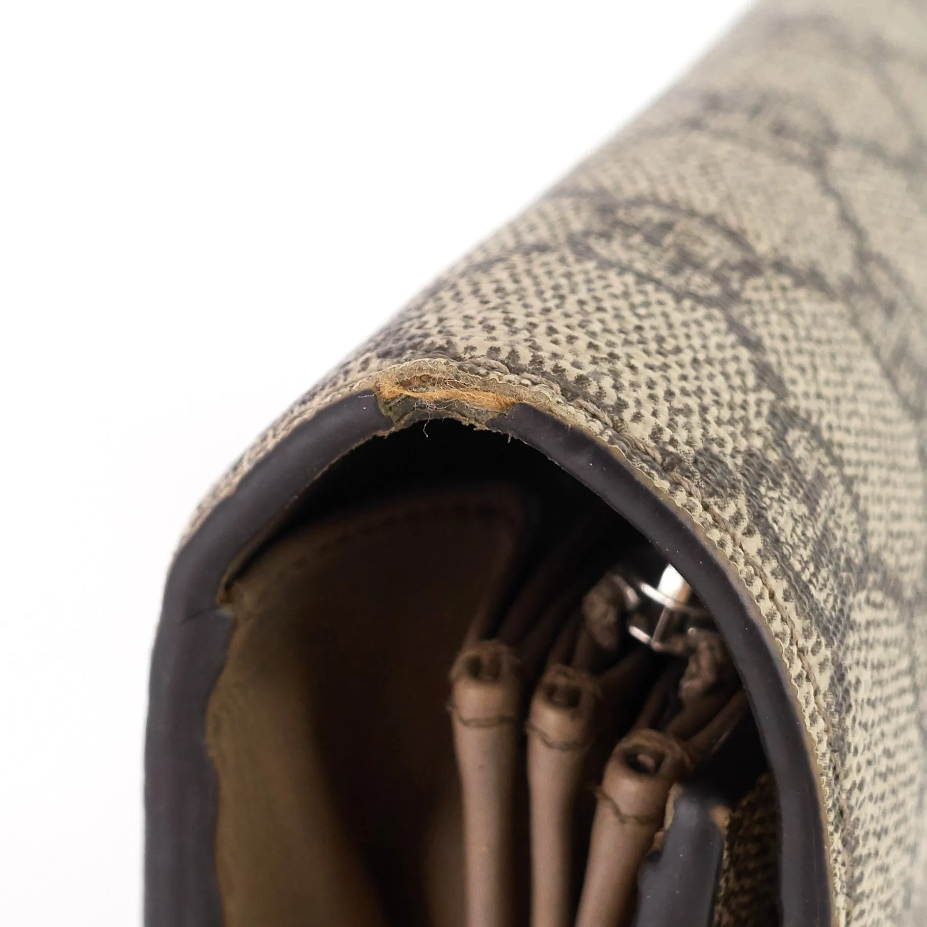 Dionysus GG Coated Canvas Chain Wallet Bag