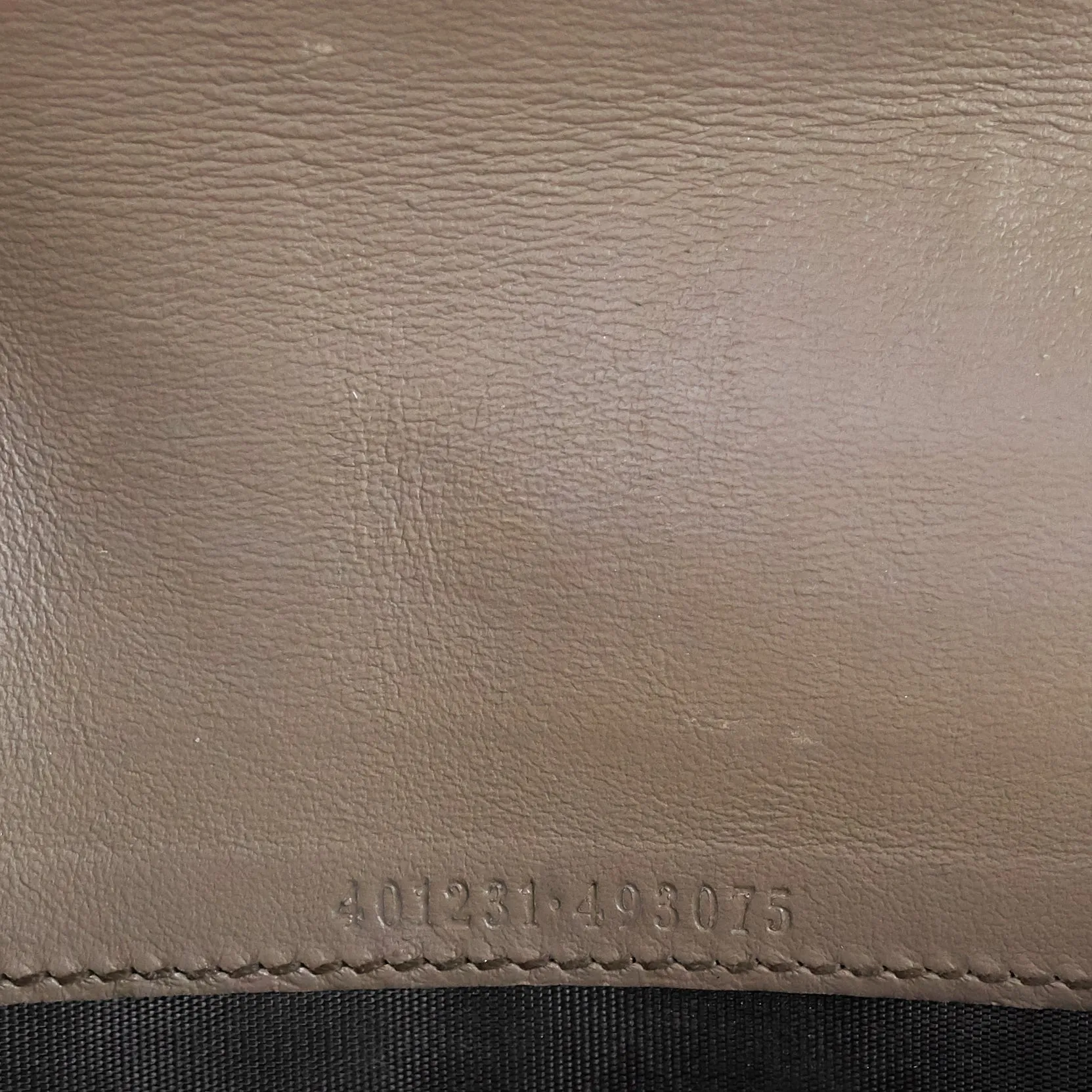 Dionysus GG Coated Canvas Chain Wallet Bag