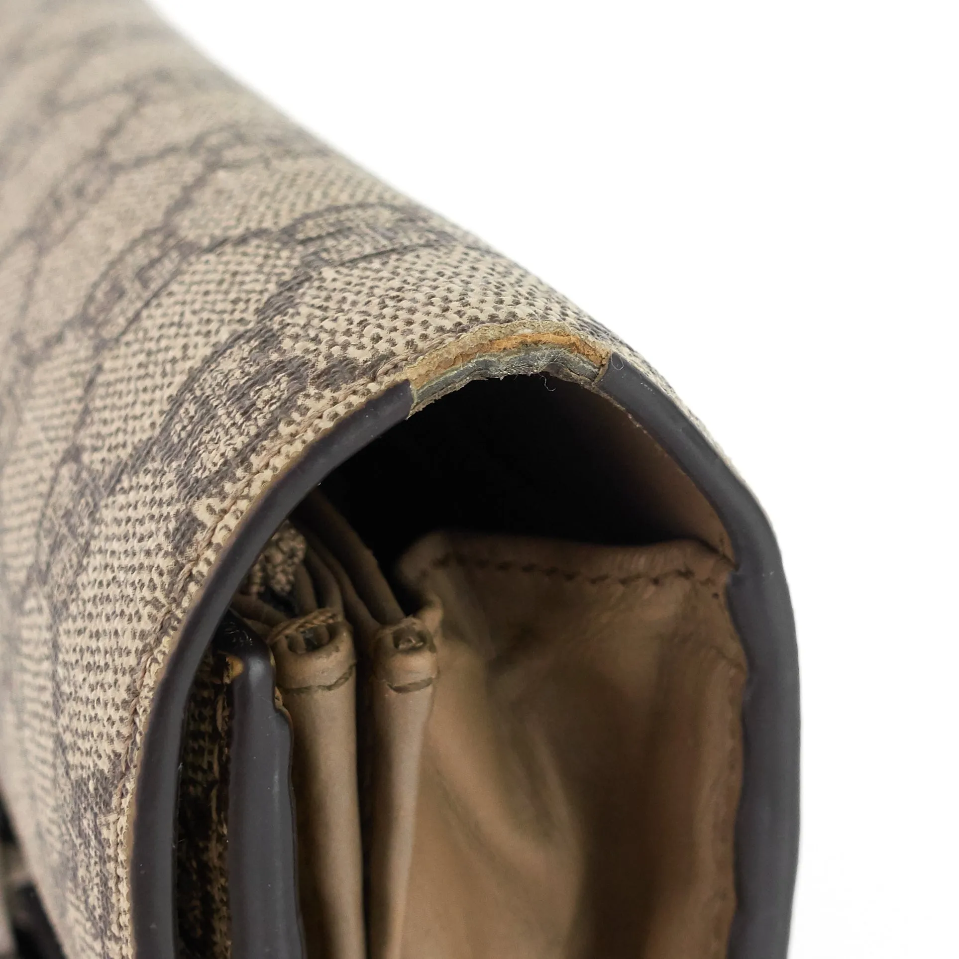 Dionysus GG Coated Canvas Chain Wallet Bag