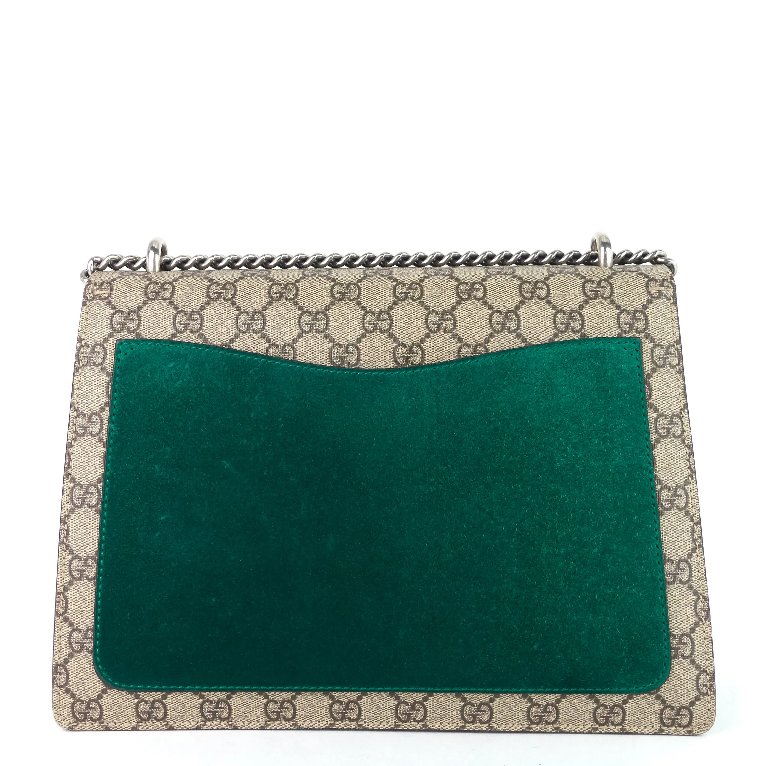 Dionysus Medium Suede and Embroidered Supreme Canvas Bag