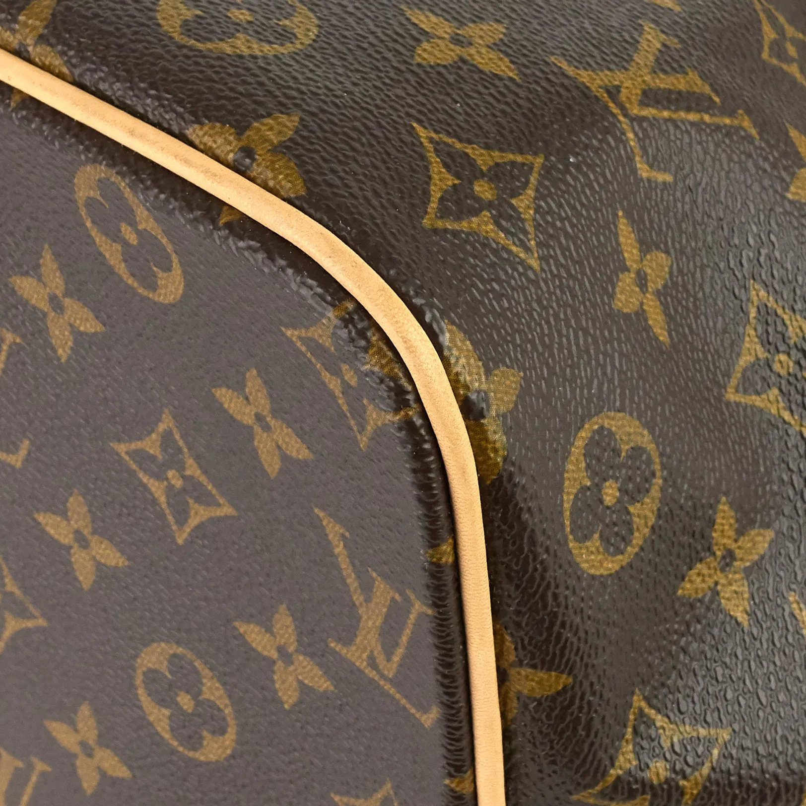 Palermo GM Monogram Canvas Bag