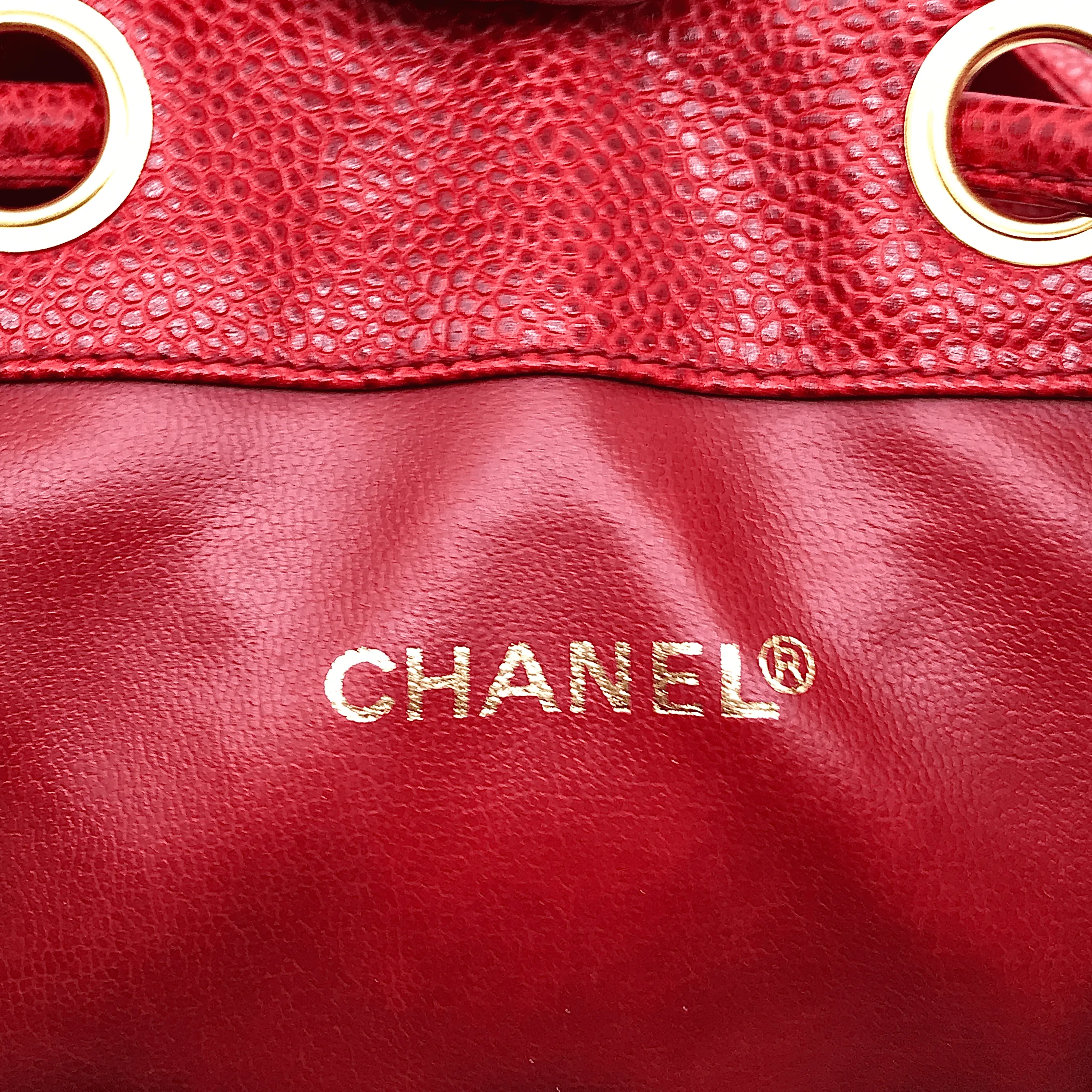 Vintage Chanel Bag (COLLECTIBLE)